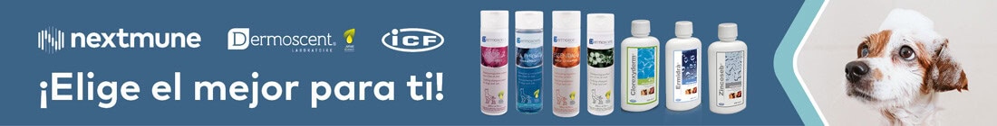 Champuterapia: uso racional en la práctica clínica