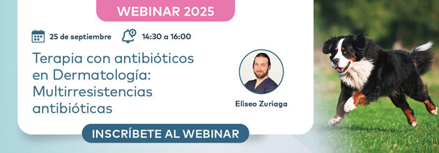 Terapia con antibióticos en Dermatología: Multirresistencias antibióticas