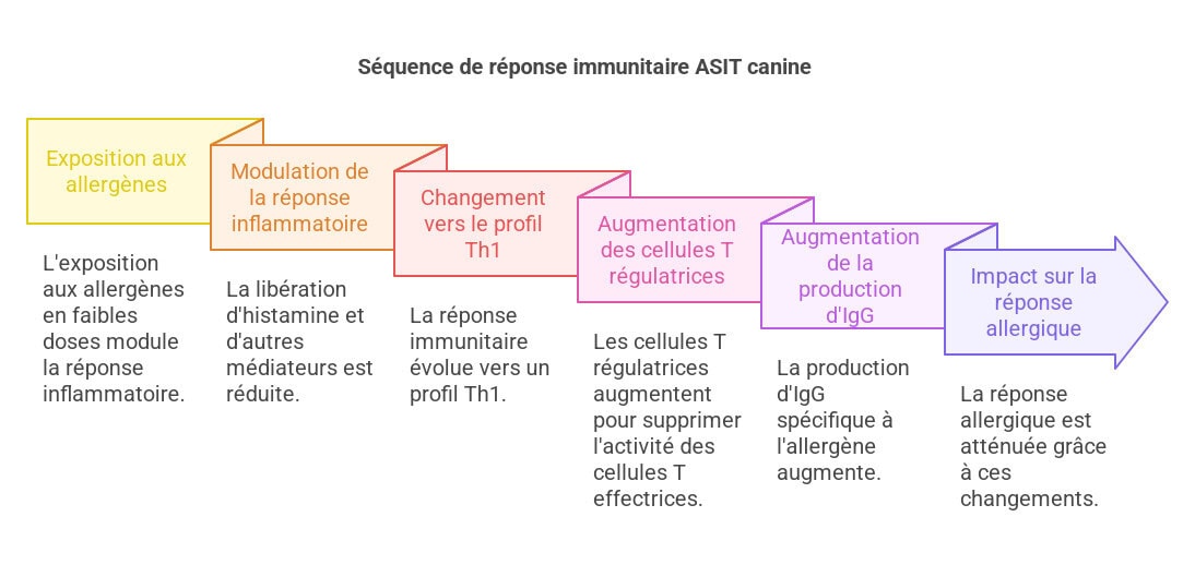 Approches actuelles et perspectives de l'immunothérapie dans la dermatite atopique canine