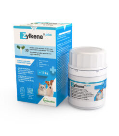 ZYLKENE PLUS