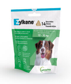 ZYLKENE CHEW
