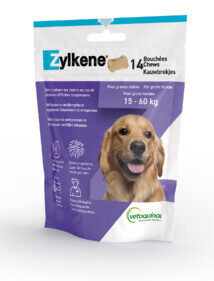 ZYLKENE CHEW