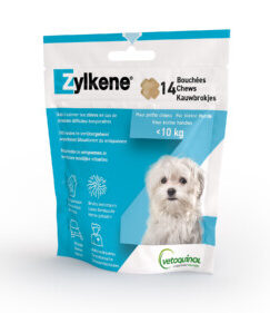 ZYLKENE CHEW