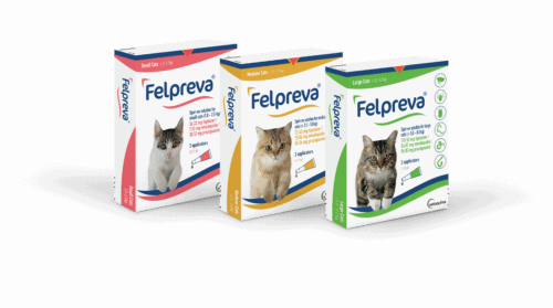 FELPREVA