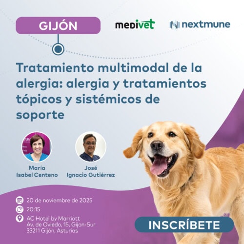 Jornada gratuita Veterinaria en Gijón, Asturias: Tratamiento multimodal de la alergia