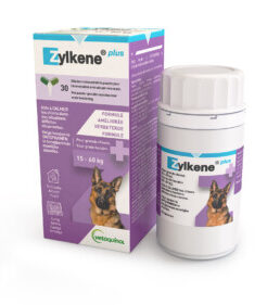ZYLKENE PLUS