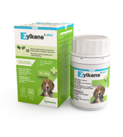 ZYLKENE PLUS