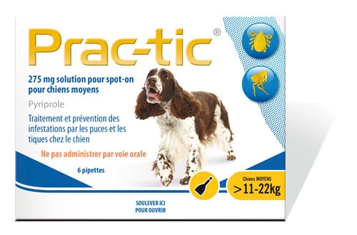 PRAC-TIC