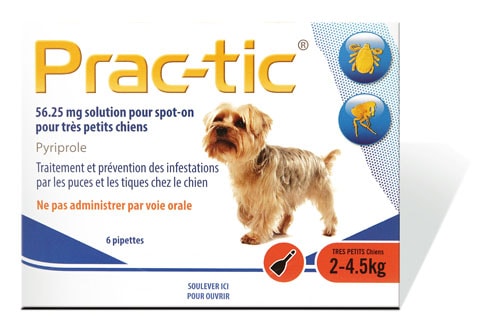 PRAC-TIC