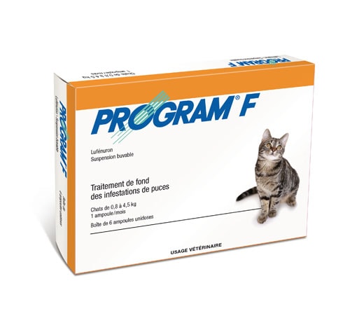 PROGRAM SUSPENSION BUVABLE CHAT
