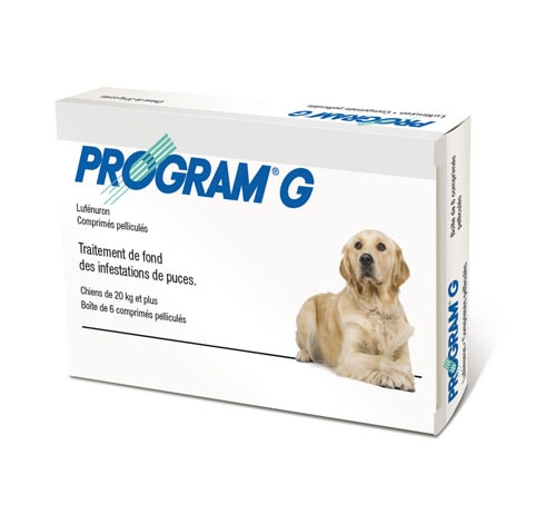 PROGRAM COMPRIME CHIEN