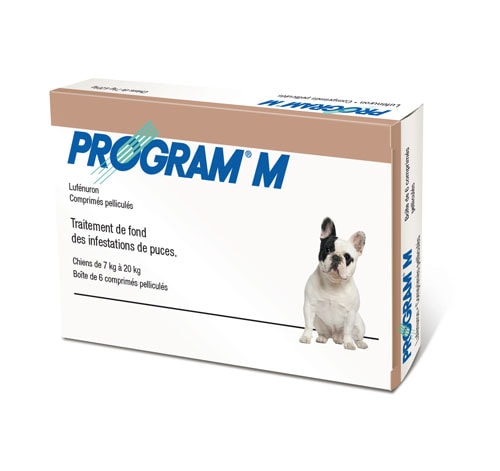 PROGRAM COMPRIME CHIEN
