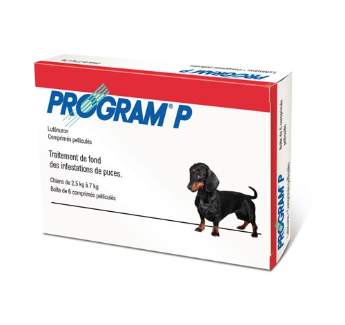 PROGRAM COMPRIME CHIEN