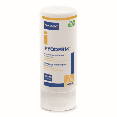 PYODERM