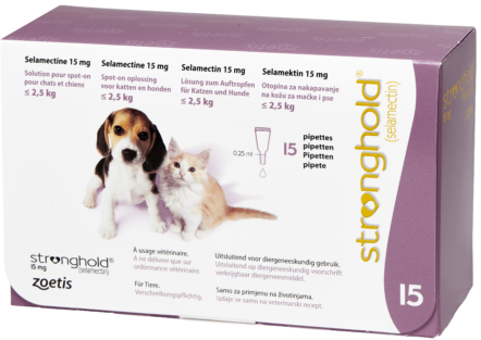 Stronghold chat et chien