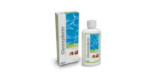 La citología en el punto de mira: lo que dicen las nuevas directrices del ISCAID