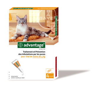 ADVANTAGE