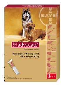 ADVOCATE
