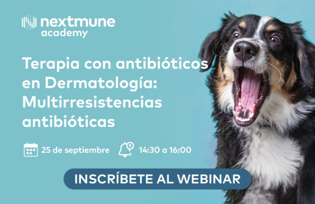 Terapia con antibióticos en Dermatología: Multirresistencias antibióticas